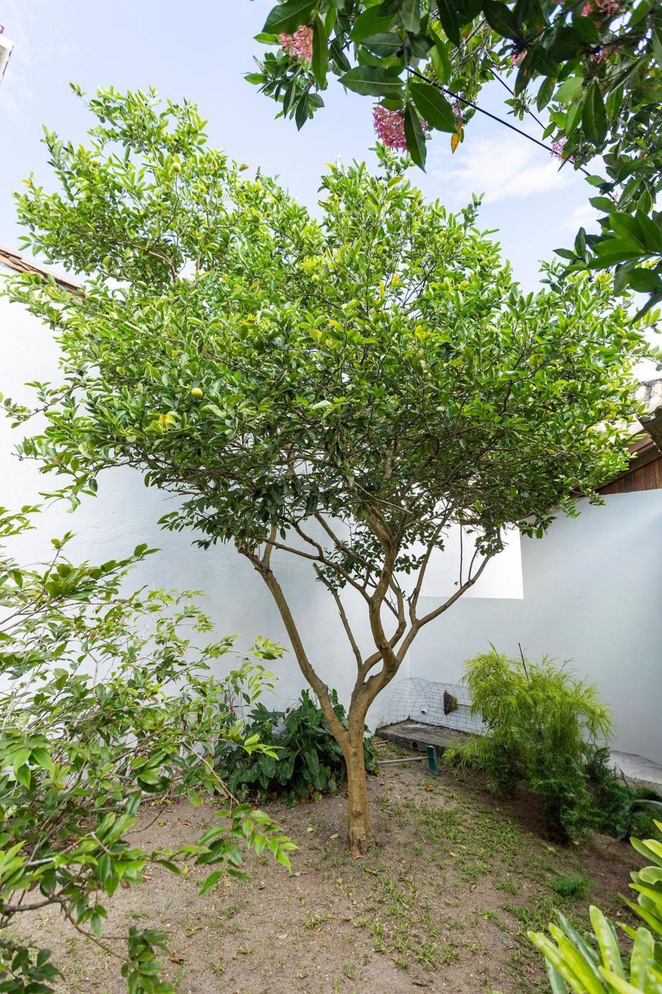 Casa Encantadora Em Geribá | Bzre13 * Búzios